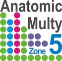 Anatomic Multi